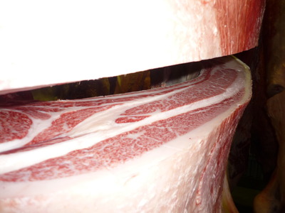 ͥ���ޣ��ʡ�087�ܾ롦�����