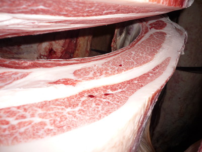 ºÇÍ¥½¨¾Þ¡¡065ºù°æÉð¢