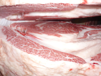 ͥ����2�ʡ����쥤������̾ޡ�056������魡