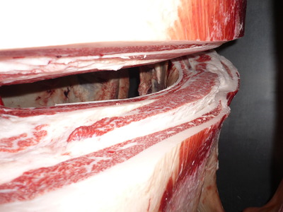 Í¥ÎɾÞ20»Ô¼¤¢¤Ä»Ò¢