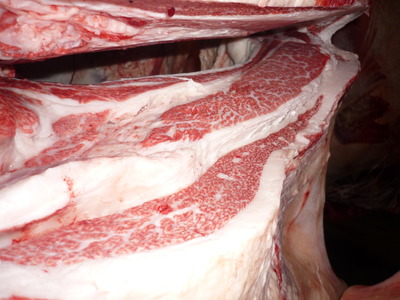 ͥ�ɾޡ�081�ޤĤ���Ҿ쭢