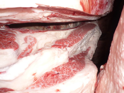 ��ͥ���ޡ�170�������׭�