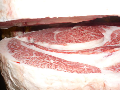 ͥ�ɾޡ�099�����ɹ���