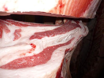 Í¥Îɾޡ¡072Àß³Ú½ÓÉ×¢