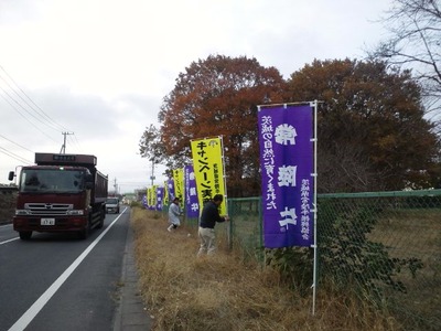 805a6780.jpg