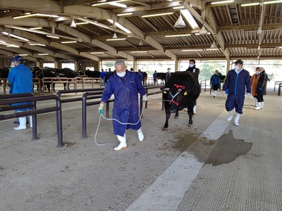 STORYPIC_00010238_BURST210301095218