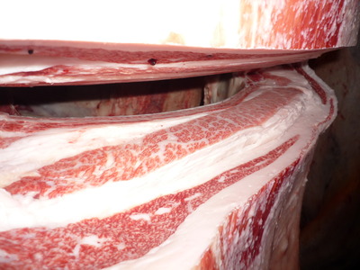 ͥ�ɾ�76���ۡ��ĥ�����26��