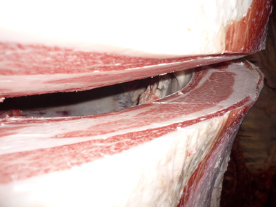 ͥ�ɾ�5022��ƣ���ﭢ