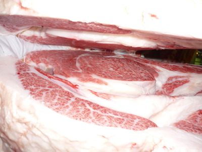 ��ͥ���ޡ�156�������饻�󥿡���