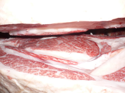 ͥ�ɾޡ�160Ȫü��֭�