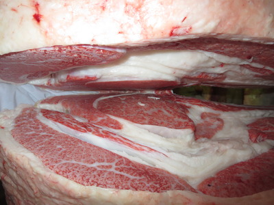 20201106.146��쭡