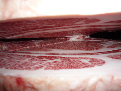 �򻨼��ͥ���ޡ���¼����