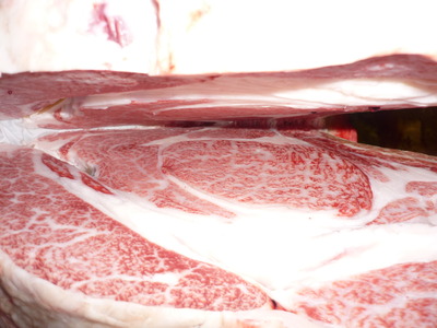 ͥ�ɾ�77����GF��