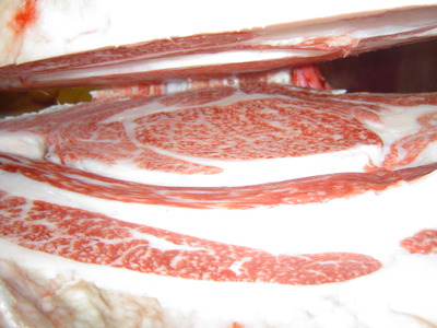 ͥ���µ펾�ݎ�01