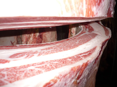 ͥ�ɾ�32(��)�����Ҿ쭢