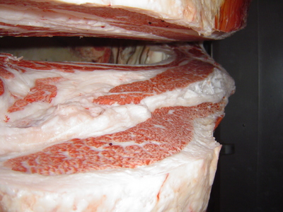 ºÇÍ¥½¨¾Þ¡¡16¸ÅÂôÌÐÏÂ?