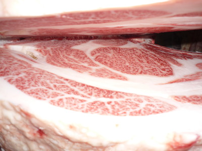 ͥ�ɾޡ�10�����½խ�