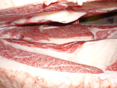 ͥ�ɾޡ�79�����Ҿ쭡