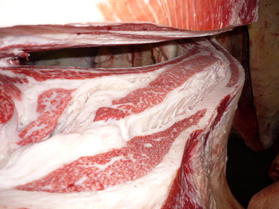 ͥ�ɾޡ�173��¼���Ļҭ�