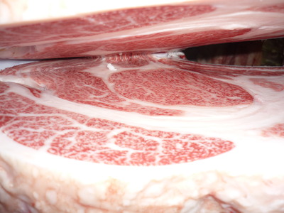 ̾���ޡ�5477��(ͭ)��ƣ�Ҿ쭡