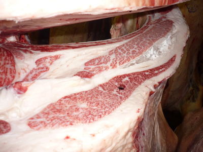 ��ͥ���ޡ�158��ƣ�Ҿ쭢