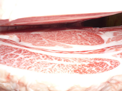 ͥ�ɾޡ�4145�����ڰ��׭�