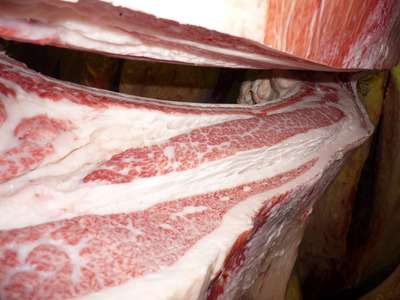 ͥ���ޣ���150��ƣ�Ҿ쭢