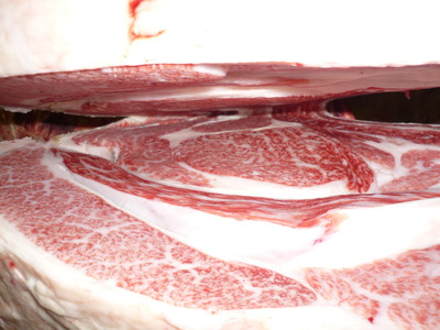 ͥ�ɾ�11���Ҥ�����