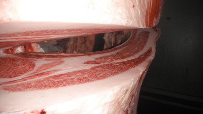 011����(ͥ����4��)��