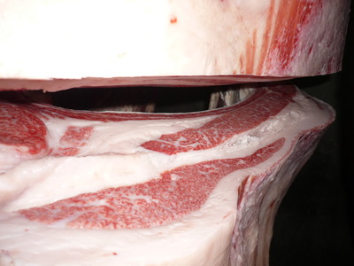 ͥ���ޣ��ʡ�052�����μ���