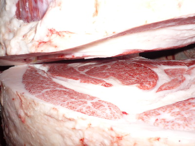 ºÇÍ¥½¨¾Þ¡¡075¸ÅÂôÌÐÏ¡