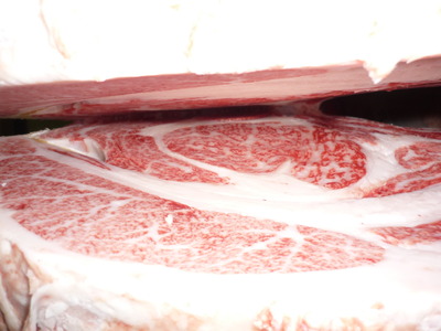 Í¥ÎɾÞ35¹âÍü͵»Ô¡