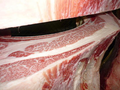 Í¥ÎɾÞ142ÎëÌÚÀ¯ÎÉ¢