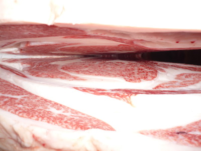 ͥ�ɾ�64ݯ�歡