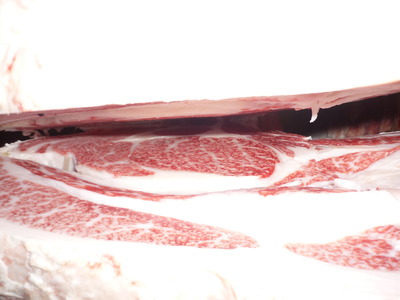 ͥ�ɾޡ�157���羡§��