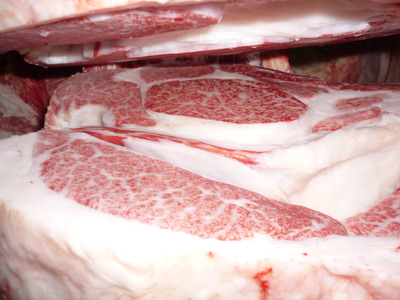 ��ͥ���ޡ�101��¼��ƻ��