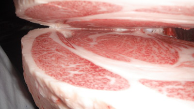 026���(ͥ�ɾ�)��