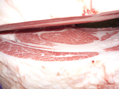 ͥ���ޡ�5536���������­�