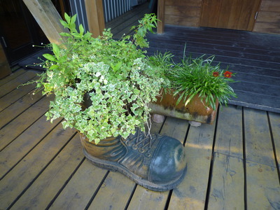 ¥¢¥á¥ê¥«²° 037