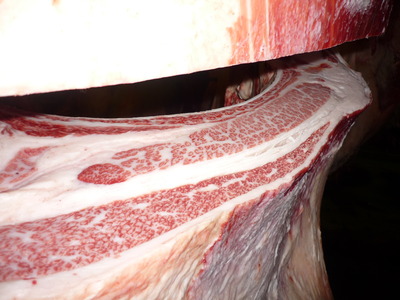 Í¥ÎɾÞ079¸ÅÂôÃÜ»º¢