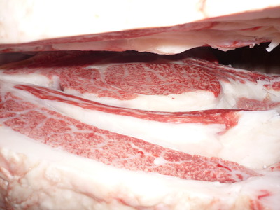 ͥ�ɾޡ�123������