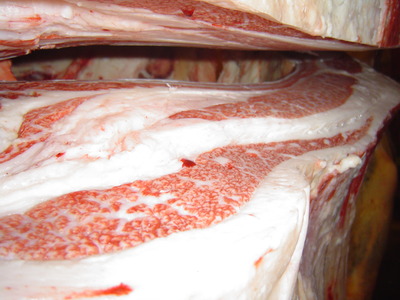 ��ͥ���ޡ�15����������ʸ?