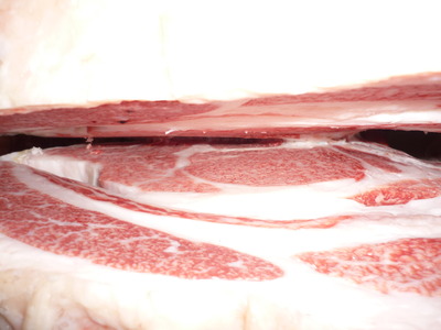 ͥ����5071���ܭ�