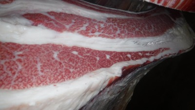 20200616.6�µ����󥿡���