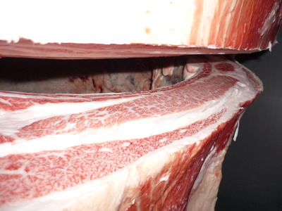 ̾ÍÀ¾Þ¡¡088½ÂÂôÀ¿¢