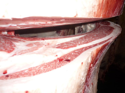 ͥ���ޣ��ʡ�21���