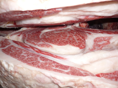 ͥ�ɾޡ�147����Ϣ�����Ҿ쭡