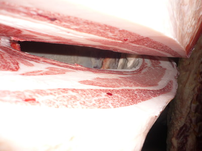 ºÇÍ¥½¨¾Þ¡¡080ÀаæÎ´ÆóϺ¢