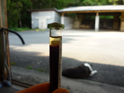 ��ʿ�Ҿ� 010