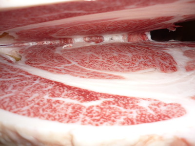 ��ͥ���ޡ�4135��ƣ���ﭡ